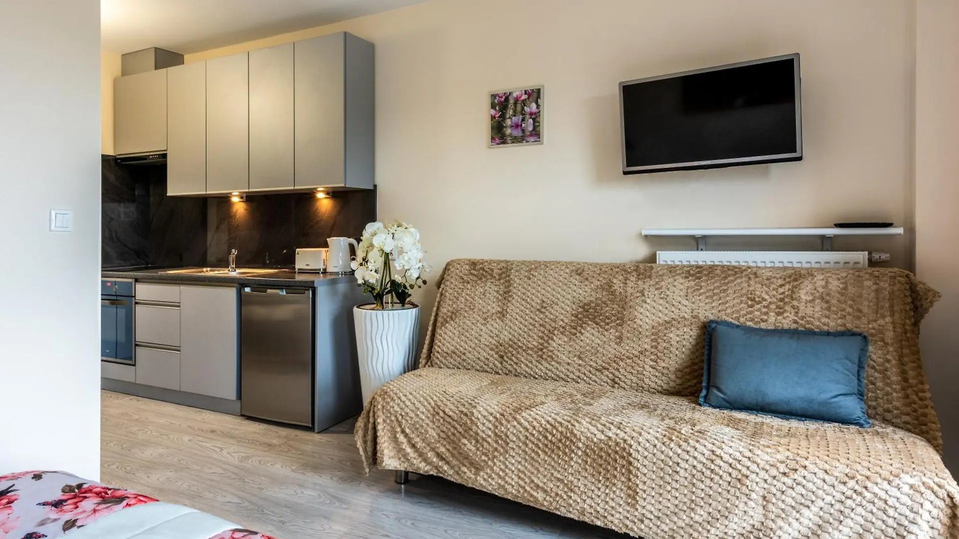 Apartment Ap. Astoria Flowers St.Miasto Parking, Balcony Krakow Poland